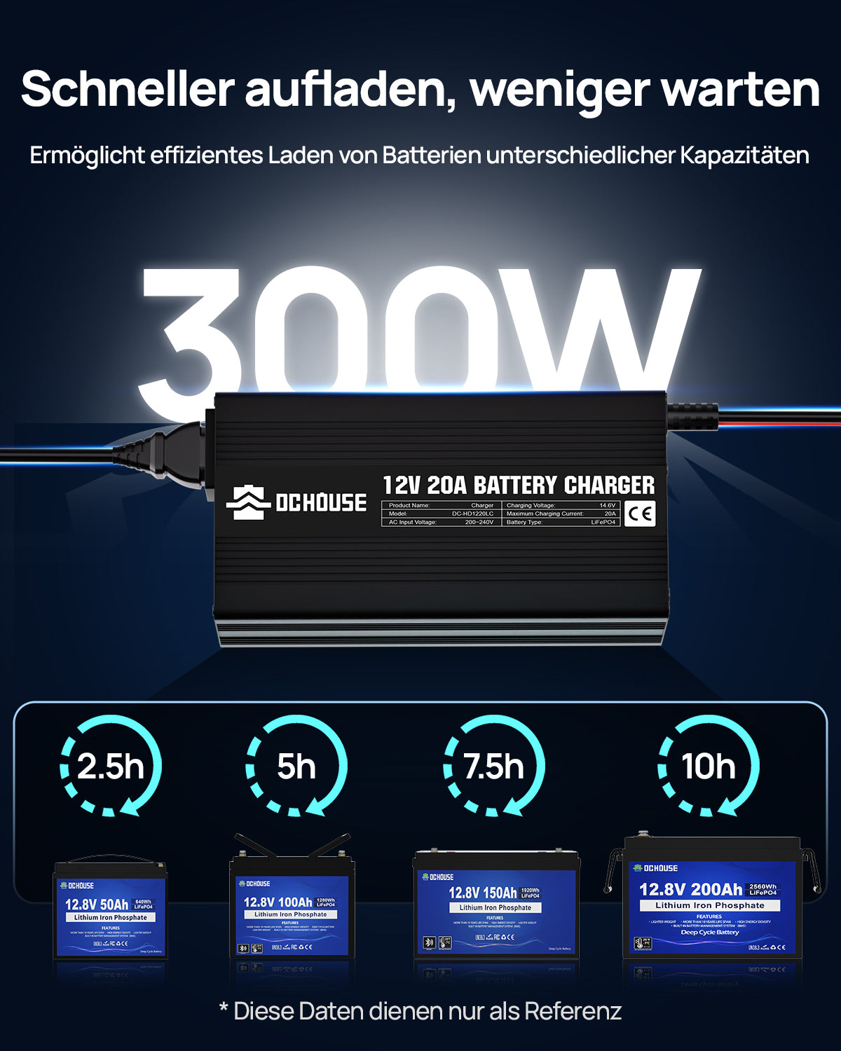 12V 20A AC zu DC Lithium Batterie Ladegerät
