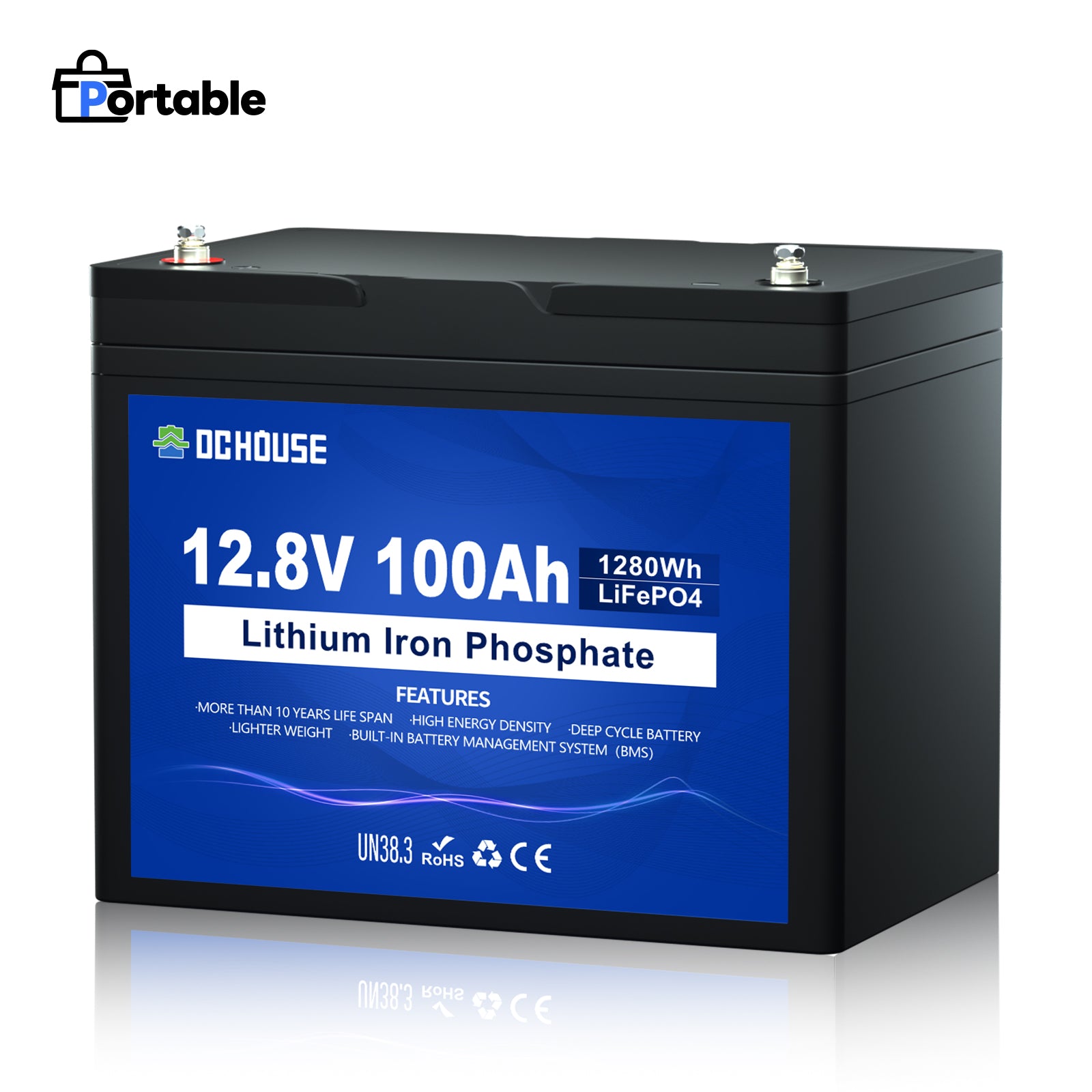 12V 100Ah LiFePO4 Lithium Batterie(Keine Bluetooth-Funktion)