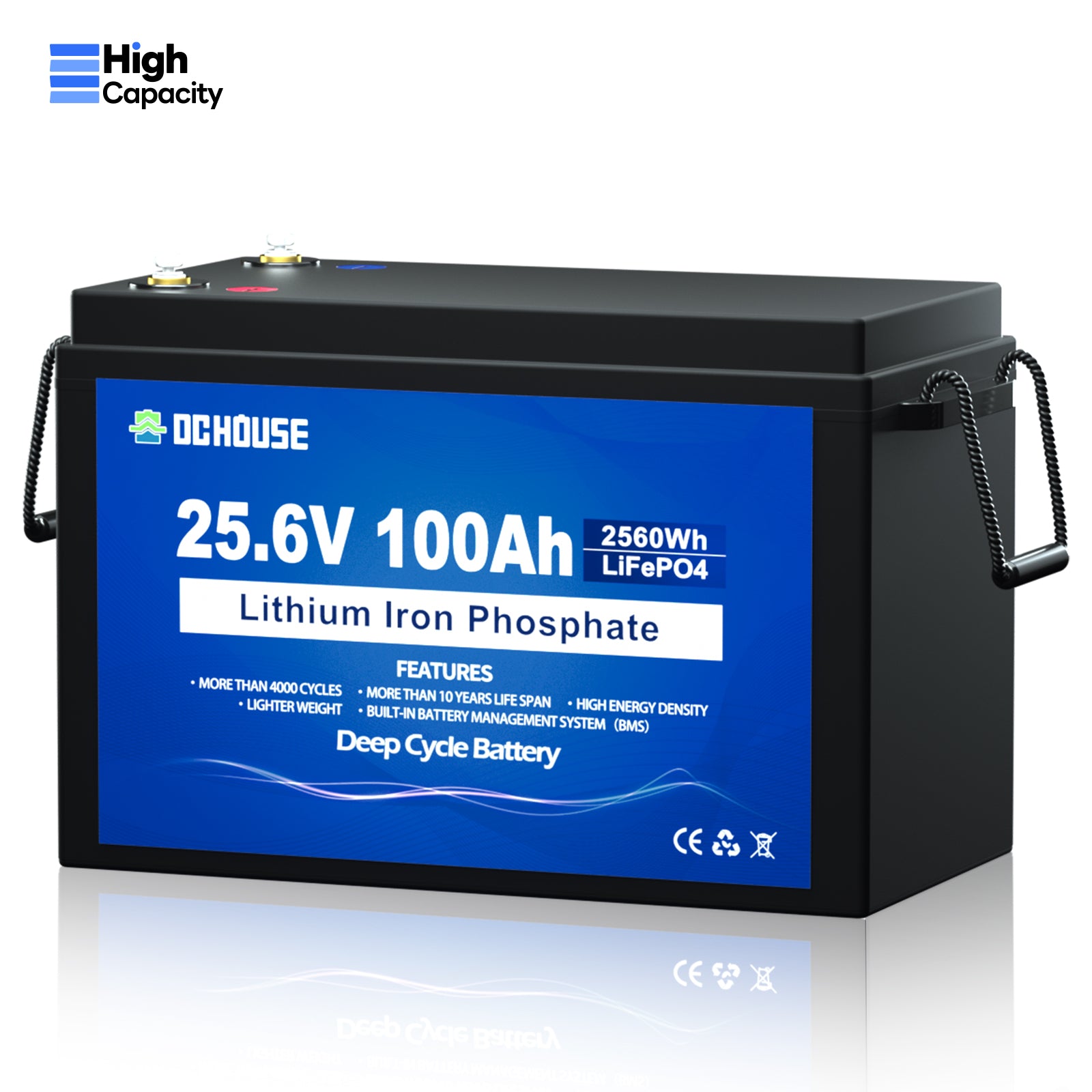 24V 100Ah LiFePO4 Lithium Batterie