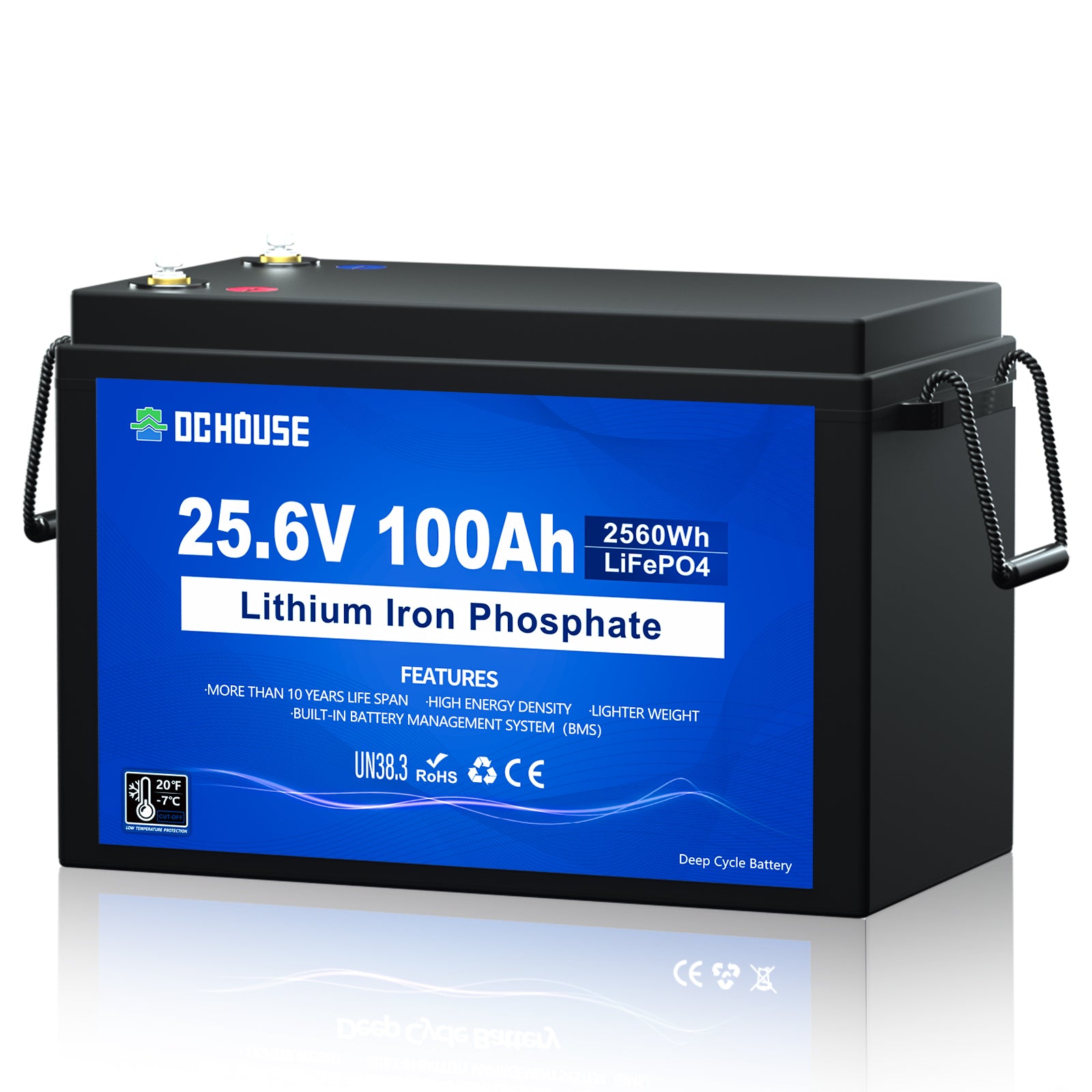 24V 100Ah LiFePO4 Lithium Batterie