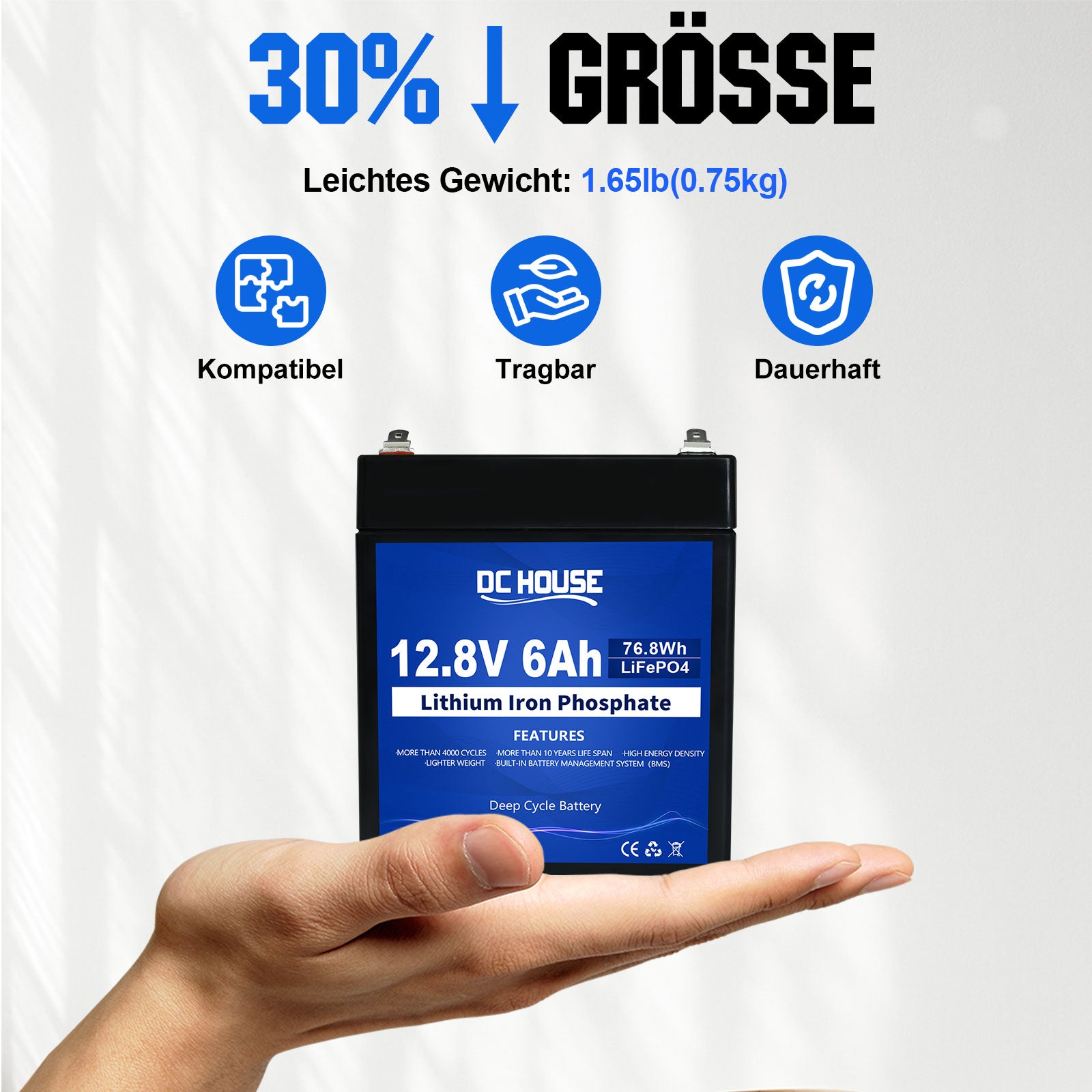 12V 6Ah Mini LiFePO4 Lithium Batterie