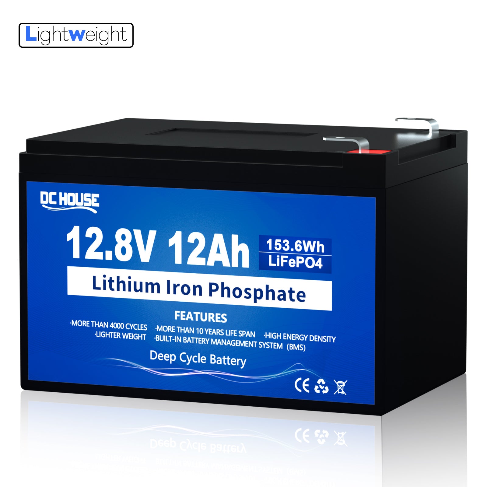 12V 12Ah LiFePO4 Lithium Batterie