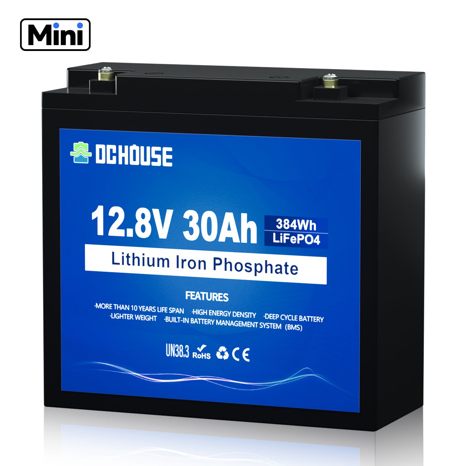 12V 30Ah Mini LiFePO4 Lithium-Batterie