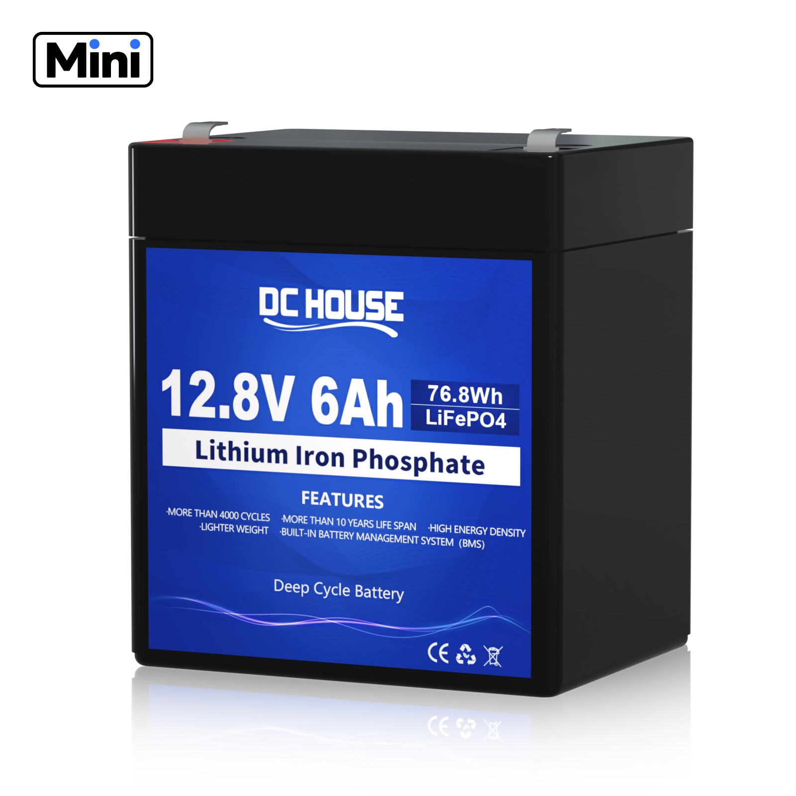 12V 6Ah Mini LiFePO4 Lithium Batterie