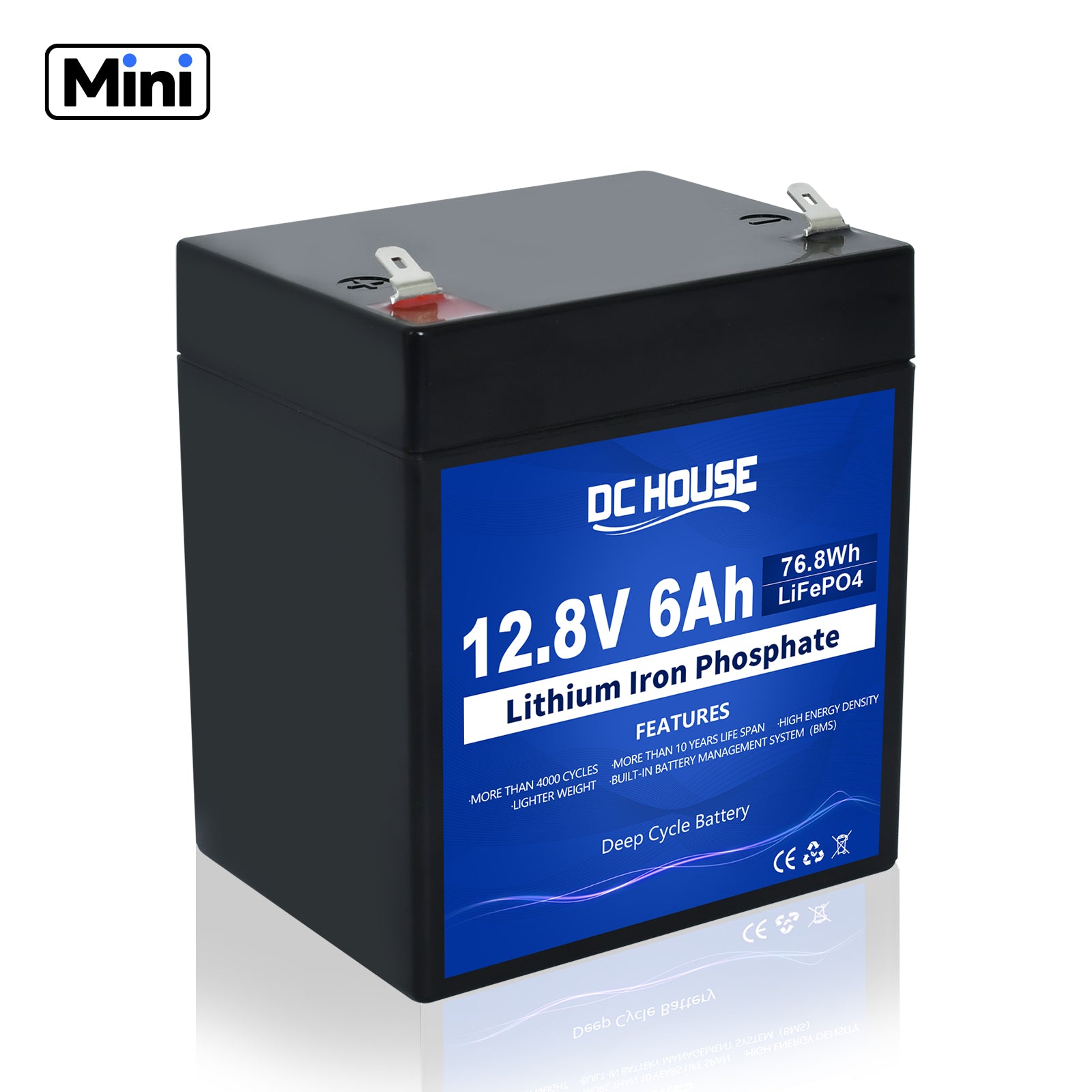 12V 6Ah Mini LiFePO4 Lithium Batterie