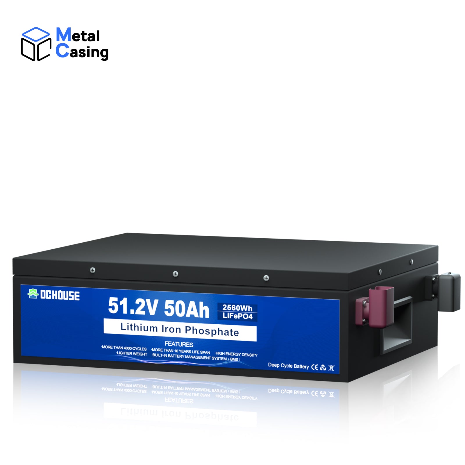48V 50Ah LiFePO4 Batterie